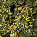 Gamers Grass: Jungle Floor Basing Box