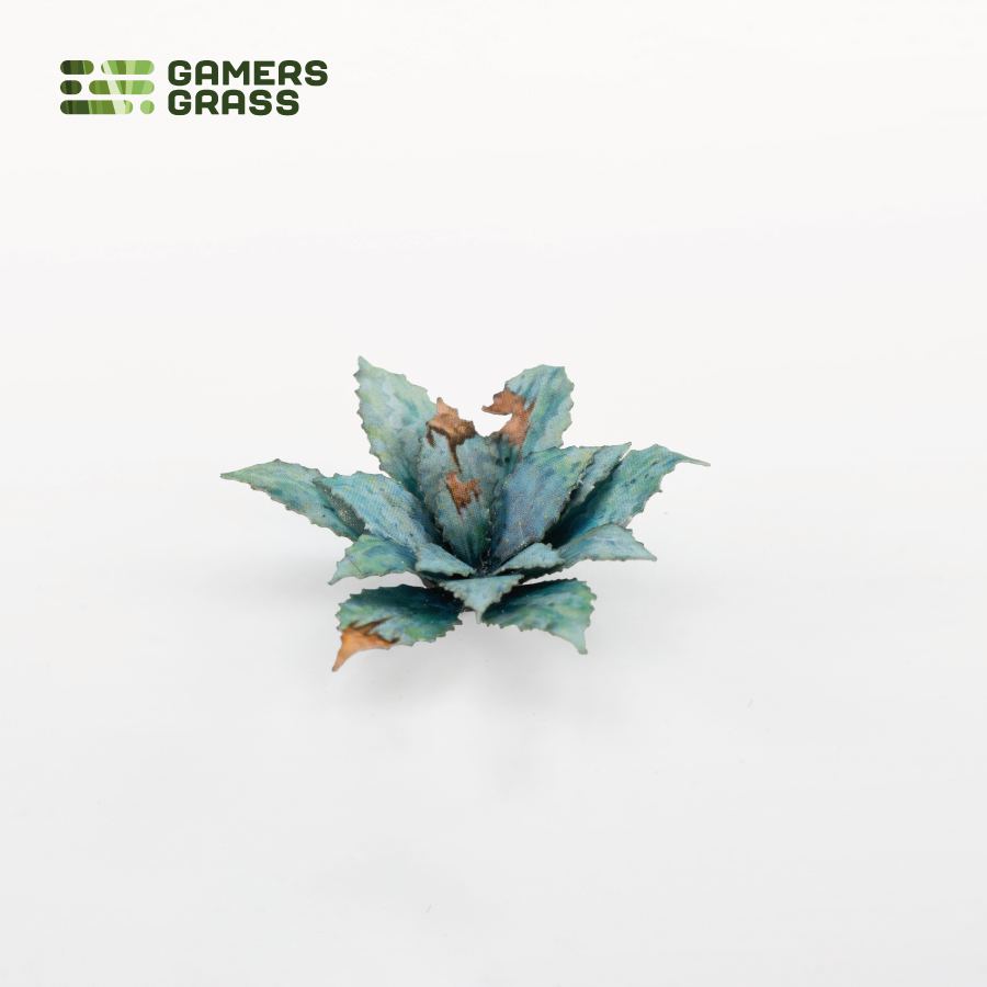 Laser Plants - Blue Agave