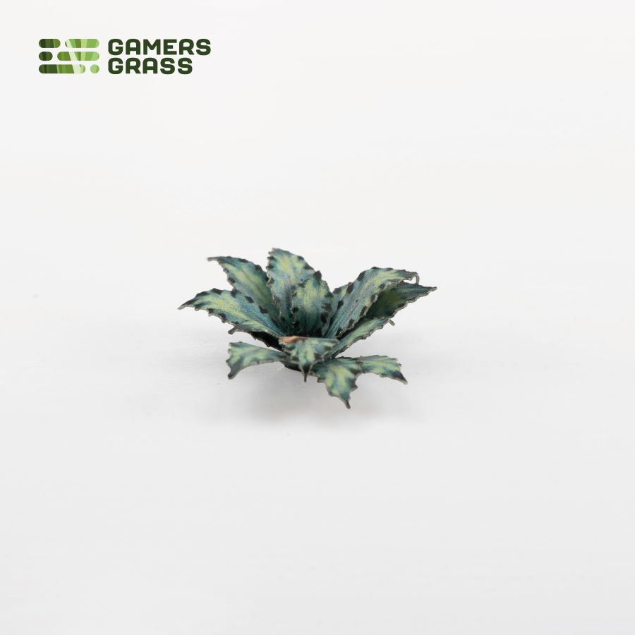Laser Plants - Blue Agave