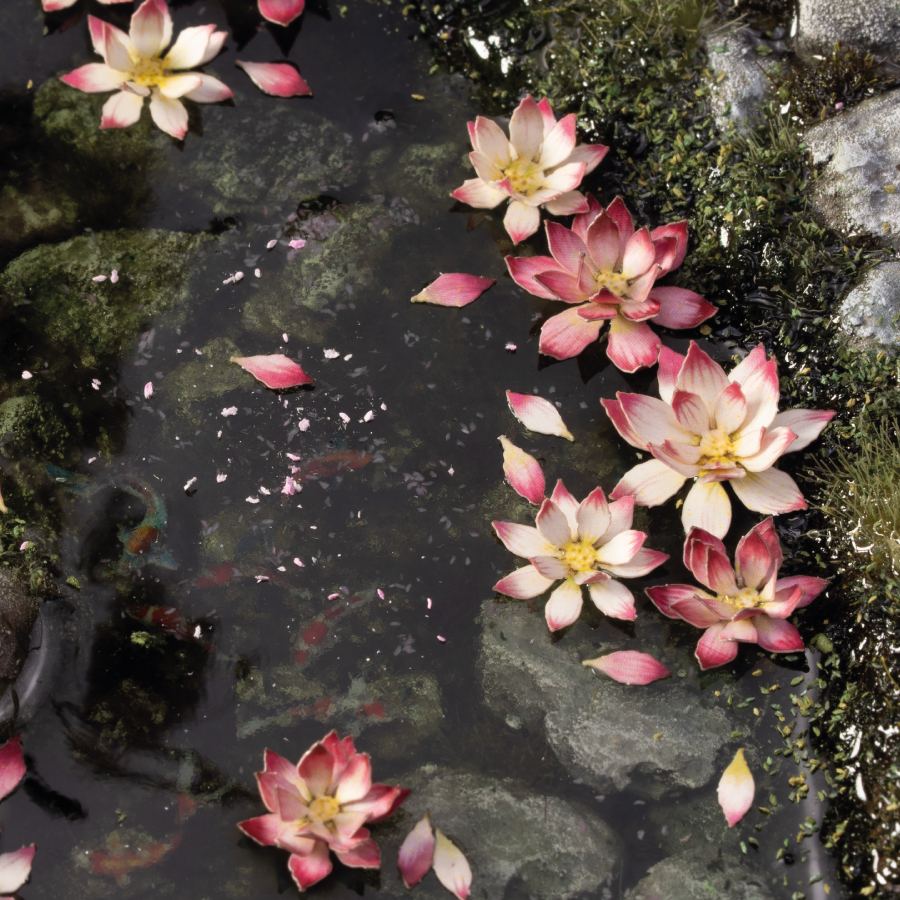 Laser Plants - Lotus Flower