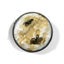 AK Interactive: Liquid Pigment - Dust 35ml