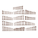 AK Interactive: Basing Bits - Human Bones