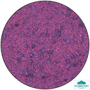 Base Ready: Altair Earth