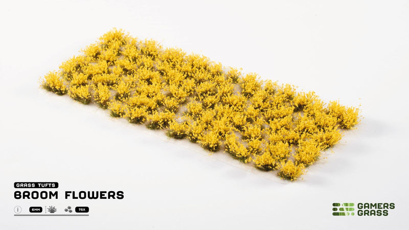 Flowers - Broom