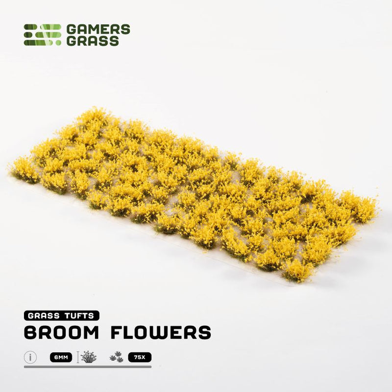 Flowers - Broom