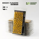 Flowers - Broom