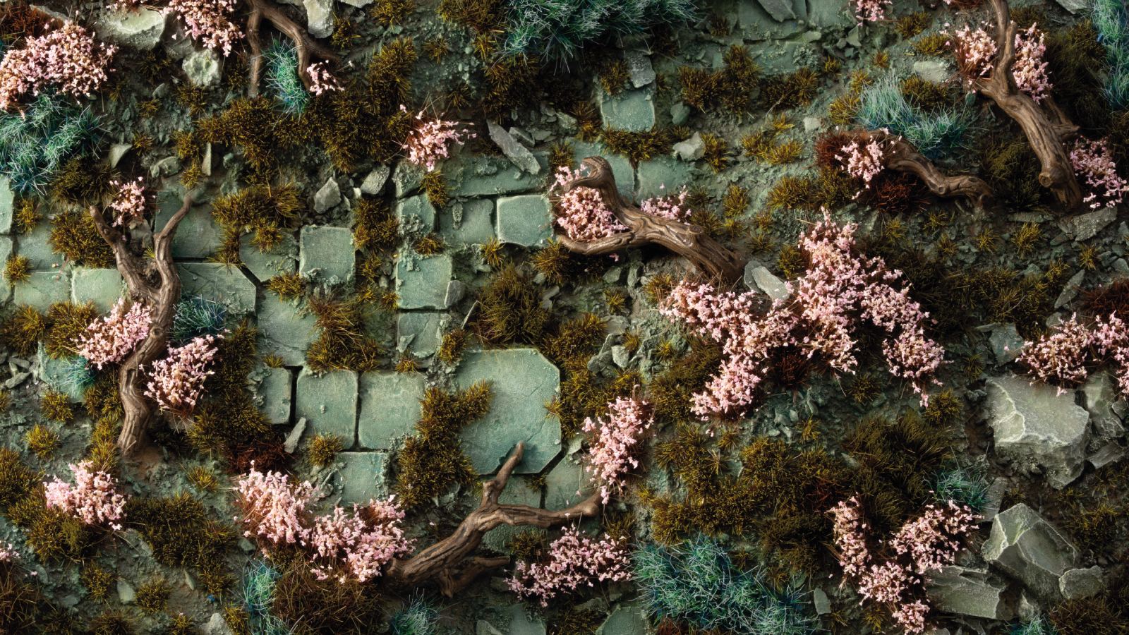 Flowers - Cherry Blossom