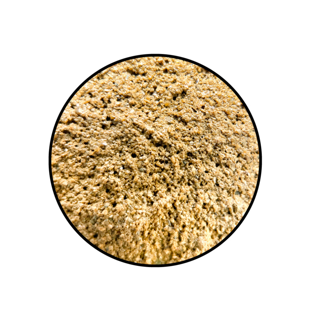 Pro Acryl: Basing Textures - Golden Earth (FINE)
