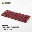 Flowers - Heather