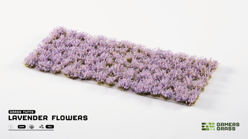 Flowers - Lavender