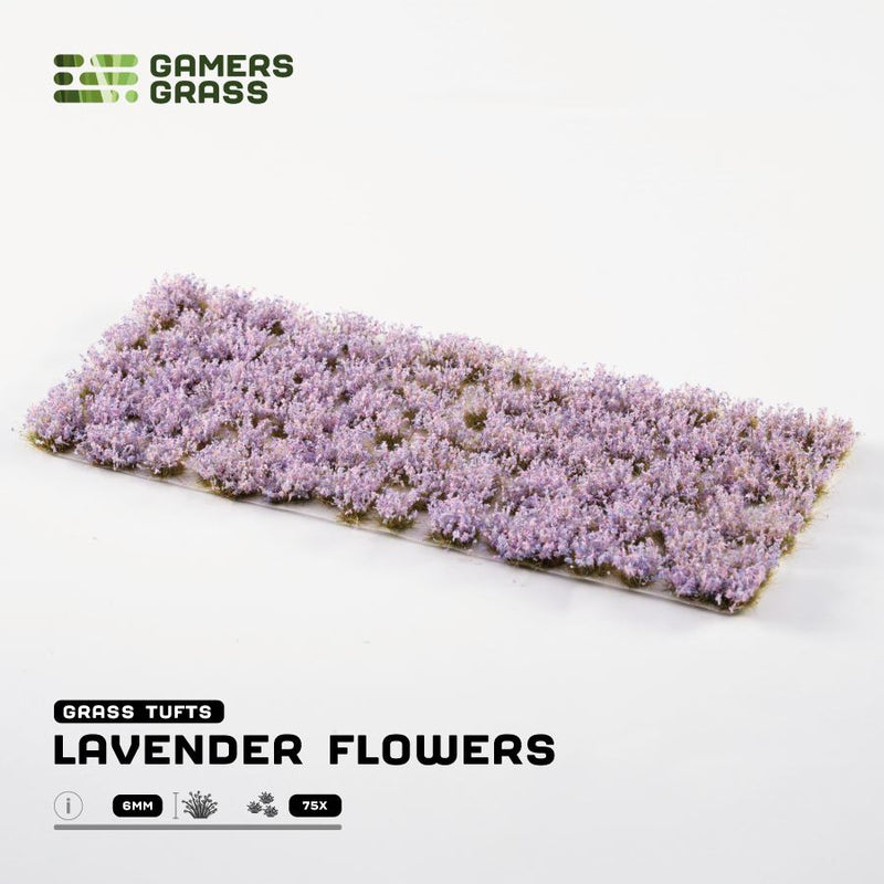 Flowers - Lavender