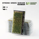 Shrubs - Strong Green