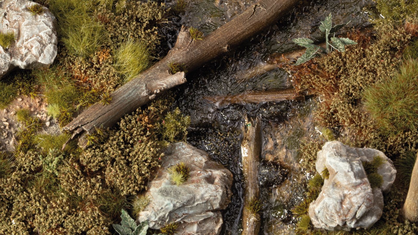 Shrubs - Swamp