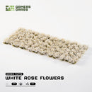 Flowers - White Rose