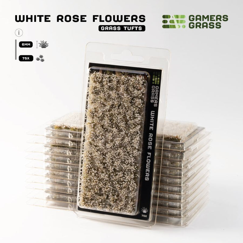 Flowers - White Rose