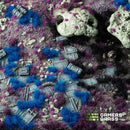 Grass Tuft Starter Box - Alien