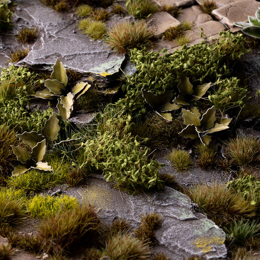 Dark Green Shrubs - LAST CHANCE TO BUY!
