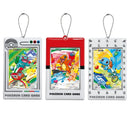 Pokemon TCG: Chinese 30th Celebration - Super Evolution Traditional Chinese Card Frame Keychain Set