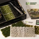 Grass Tuft Starter Box - Green