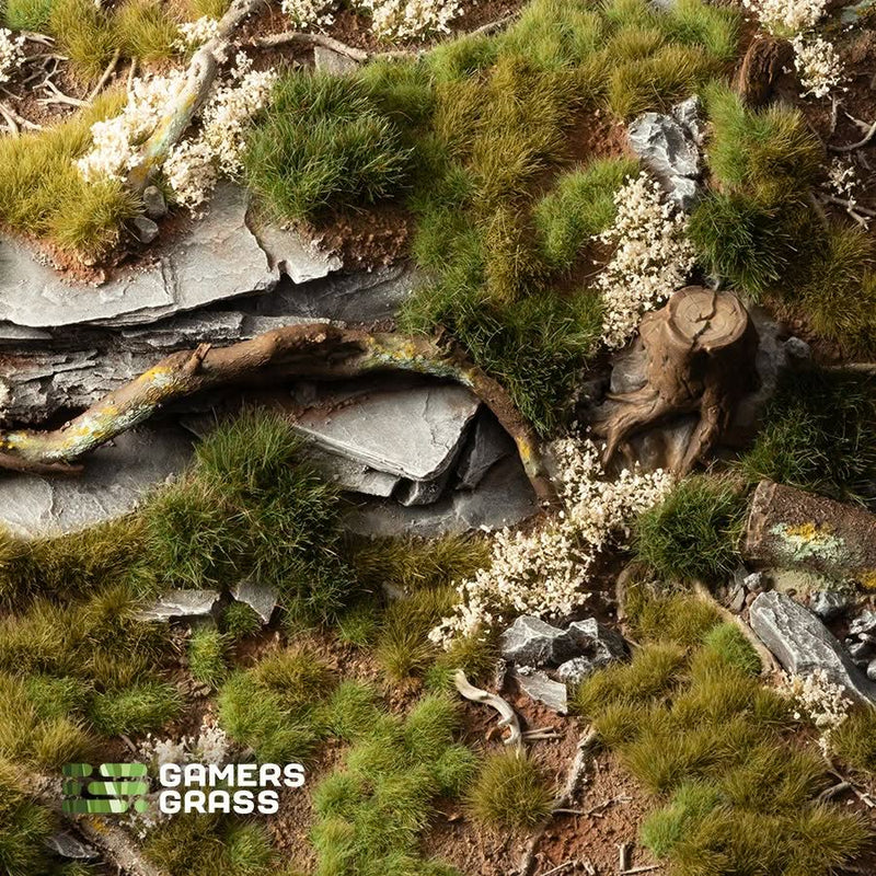 Grass Tuft Starter Box - Green