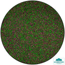 Sawdust Scatter: Moorland Mixture