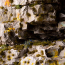 Tiny Tufts Dark Moss