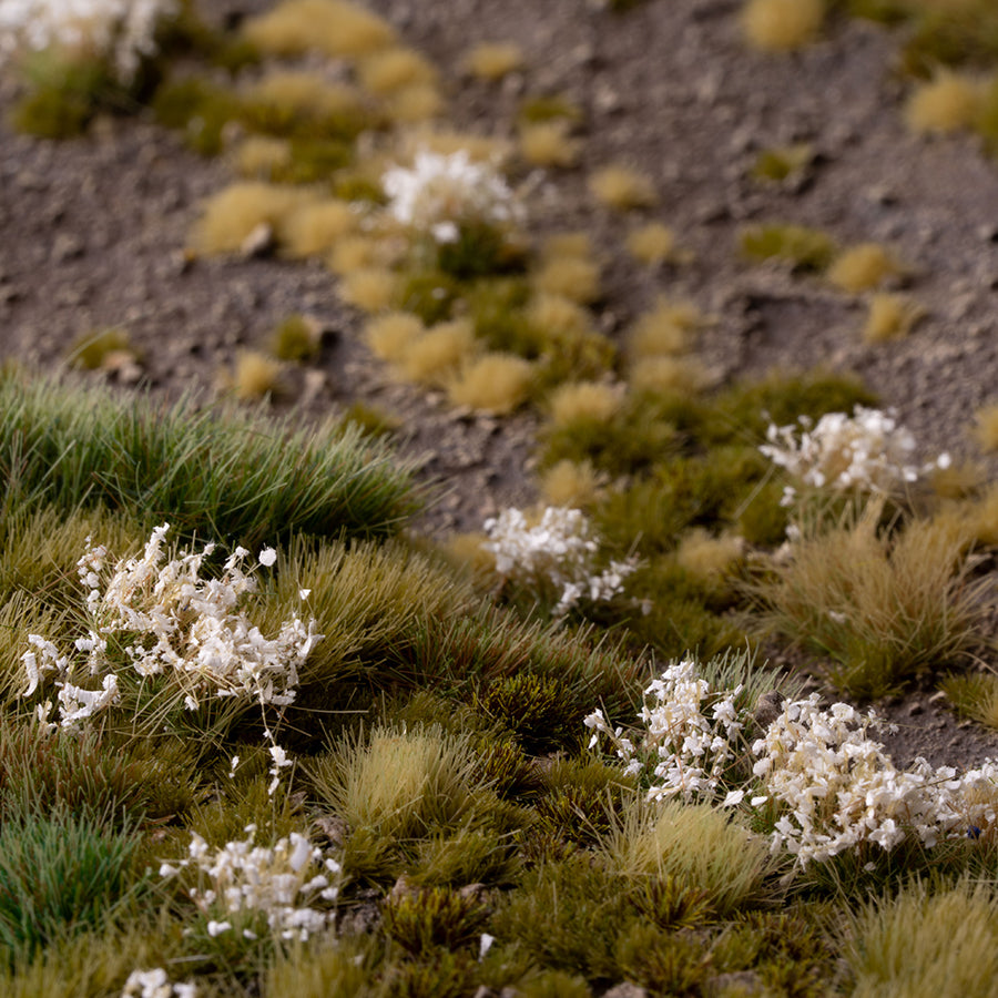 White Flowers - LAST CHANCE TO BUY!