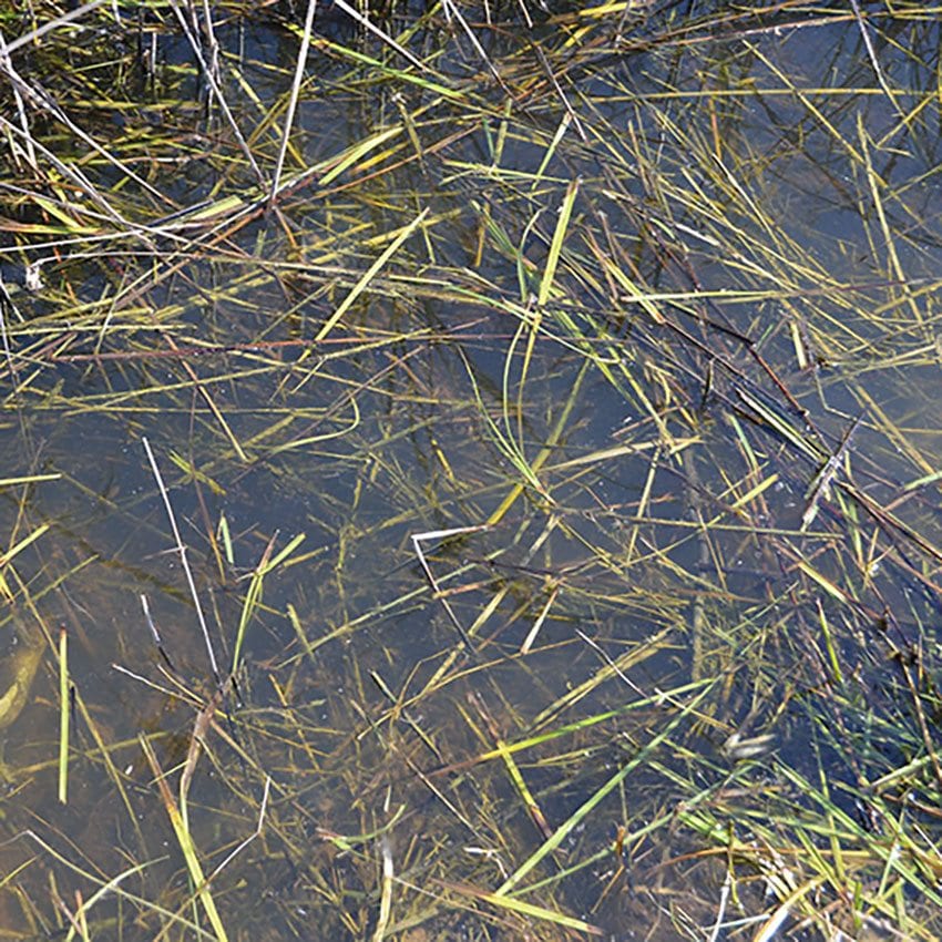 AK Interactive: Still Water 250ml