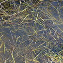 AK Interactive: Still Water 250ml