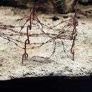 AK Interactive: Terrains - Dry Ground 250ml