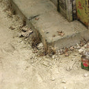 AK Interactive: Terrains - Light Earth 250ml