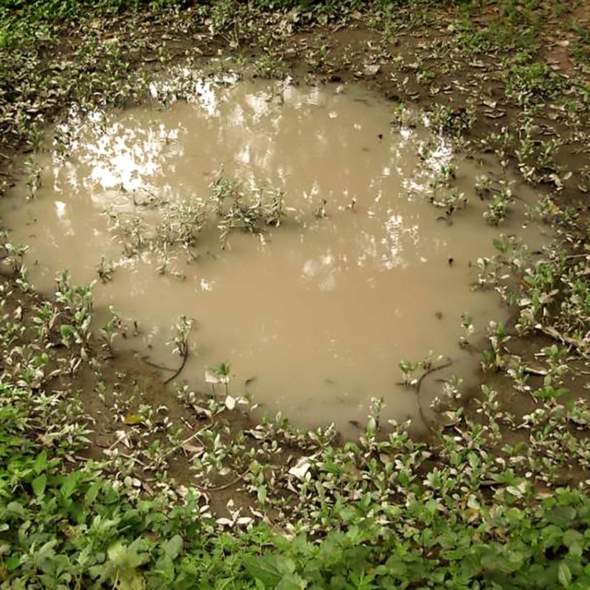AK Interactive: Puddles 60ml