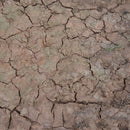 AK Interactive: Wet Crackle Effects 100ml