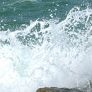 AK Interactive: Water Foam 100ml