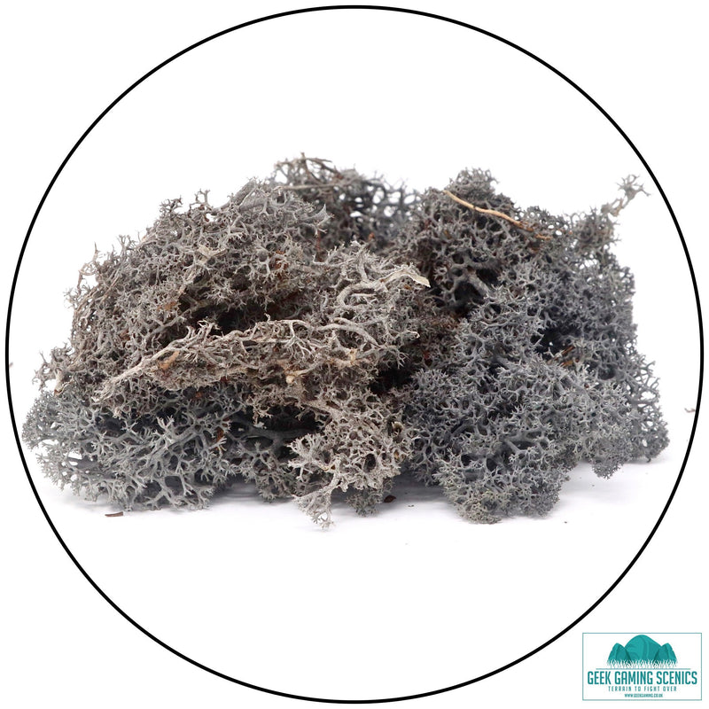 Lichen - Reindeer Moss (Icelandic Moss) Charcoal