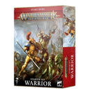 games workshop age of sigmar warrior
