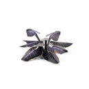 Laser Plants - Black Magic Taro