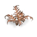 Gamers Grass Dry Bracken Laser Cut Plant