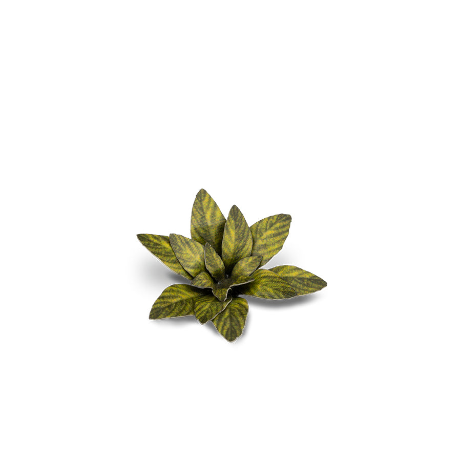 Gamers Grass Dumb Cane Laser Cut Plant