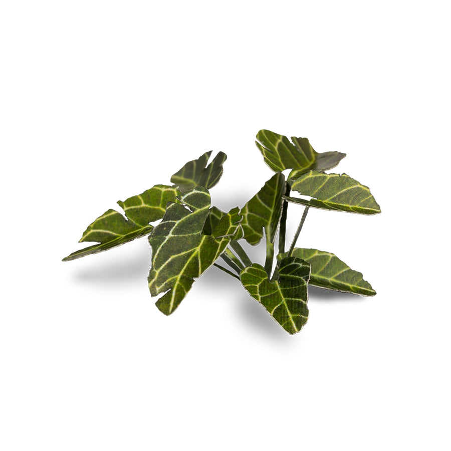 Gamers Grass Elephant Ear Laser Cut Plant