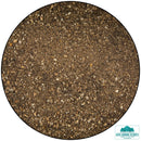 Forest Path-Ground Coverage-Geek Gaming