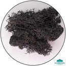 Lichen - Reindeer Moss (Icelandic Moss) Black-Geek Gaming
