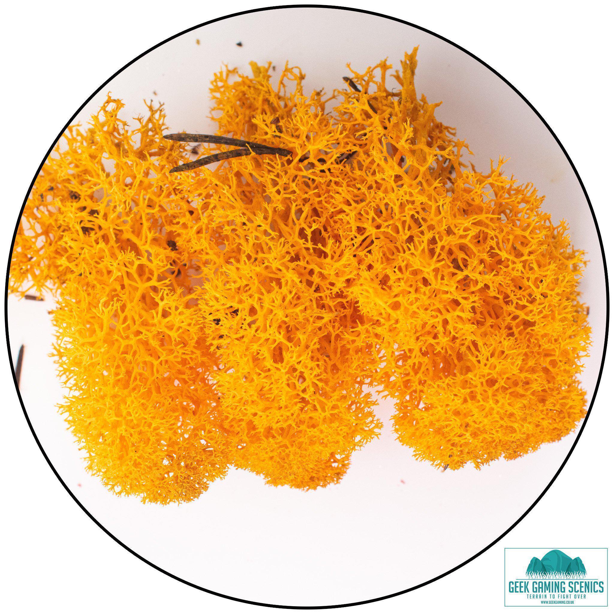 Lichen - Reindeer Moss (Icelandic Moss) Orange-Geek Gaming