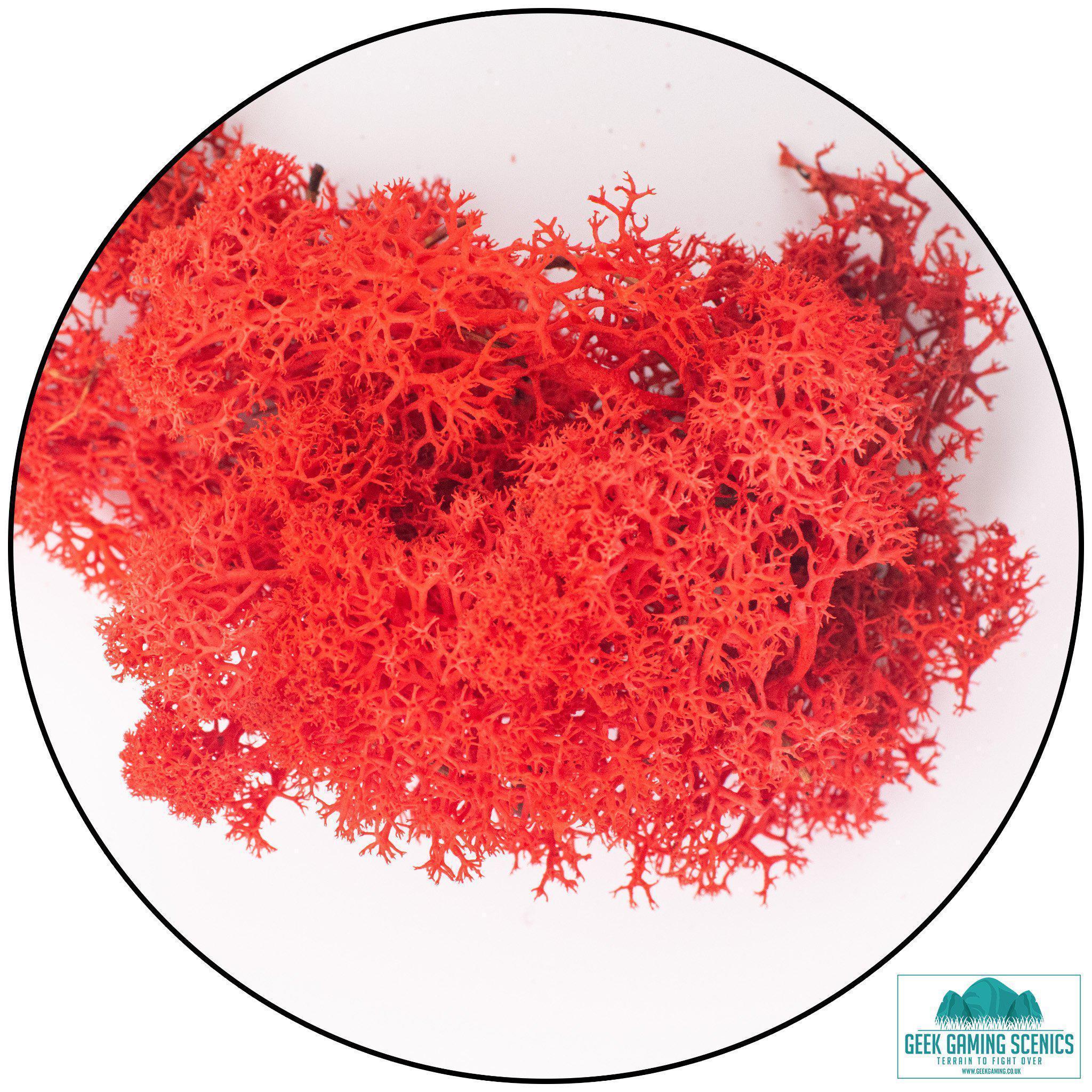 Lichen - Reindeer Moss (Icelandic Moss) Red-Geek Gaming