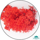 Lichen - Reindeer Moss (Icelandic Moss) Red-Geek Gaming