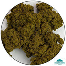 Light Green Clump Foliage-Tree Making-Geek Gaming